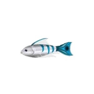 Blue Tail Tiger Fish